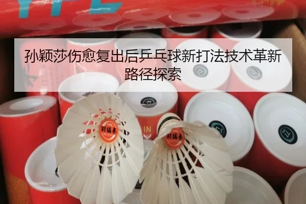 孙颖莎伤愈复出后乒乓球新打法技术革新路径探索