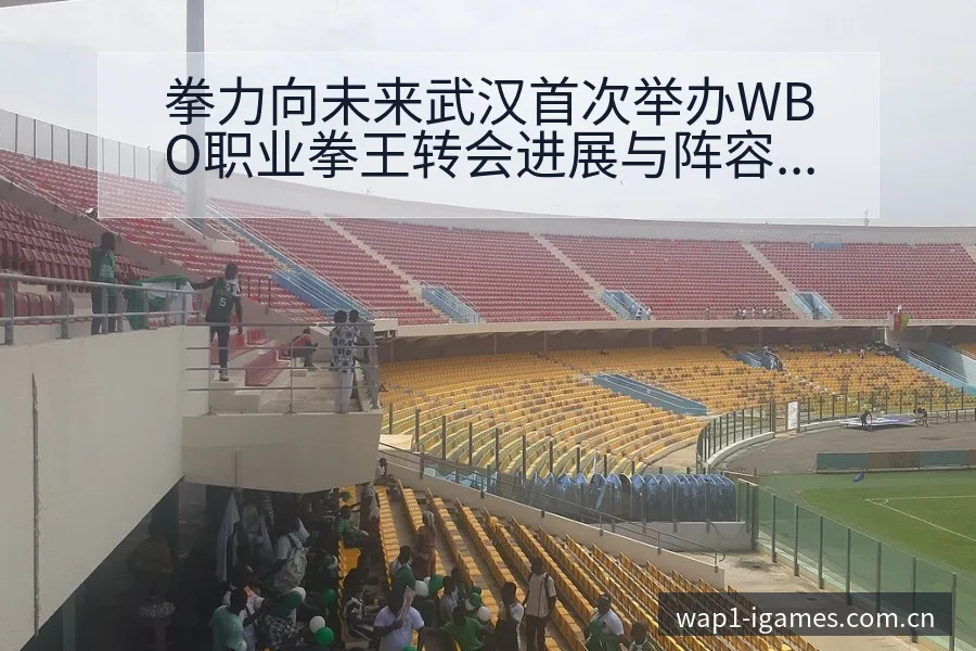 拳力向未来武汉首次举办WBO职业拳王转会进展与阵容影响签 - 爱游戏